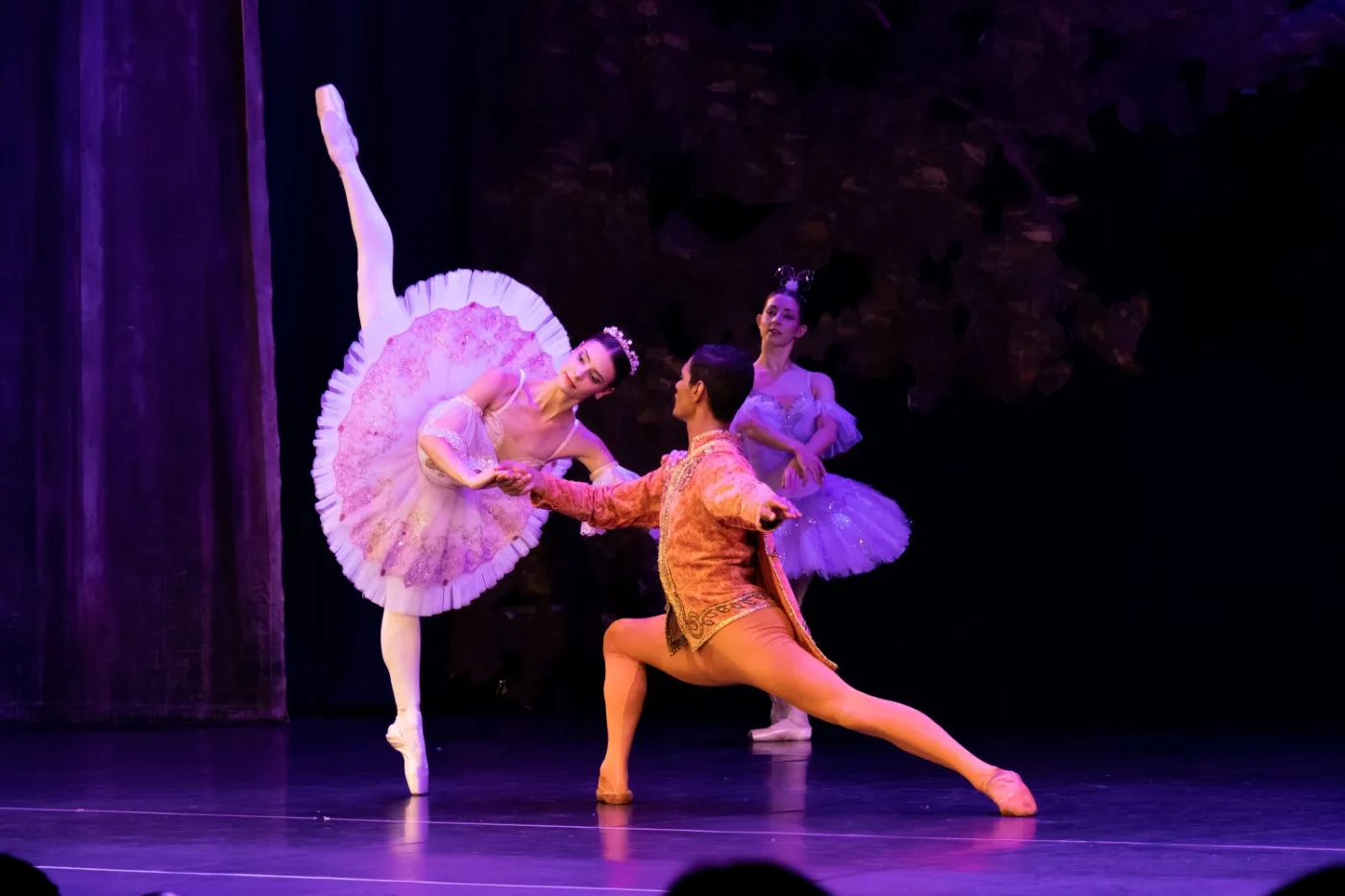 Two dancers performing a duet as part of YRBC's 2023 production of The Sleeping Beauty ballet.